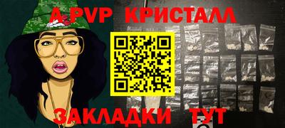 Альфа ПВП Владикавказ
