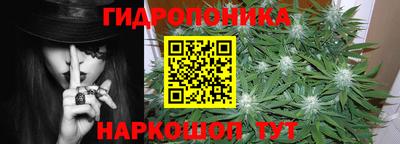 Альфа ПВП Владикавказ