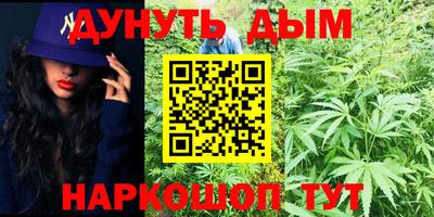 Альфа ПВП Владикавказ