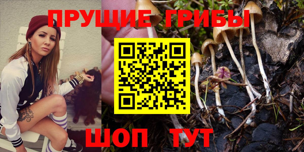 Краснотурьинск  Псилоцибиновые грибы Psilocybine cubensis  даркнет сайт  Вход с VPN  Псилоцибиновые грибы Psilocybine cubensis 