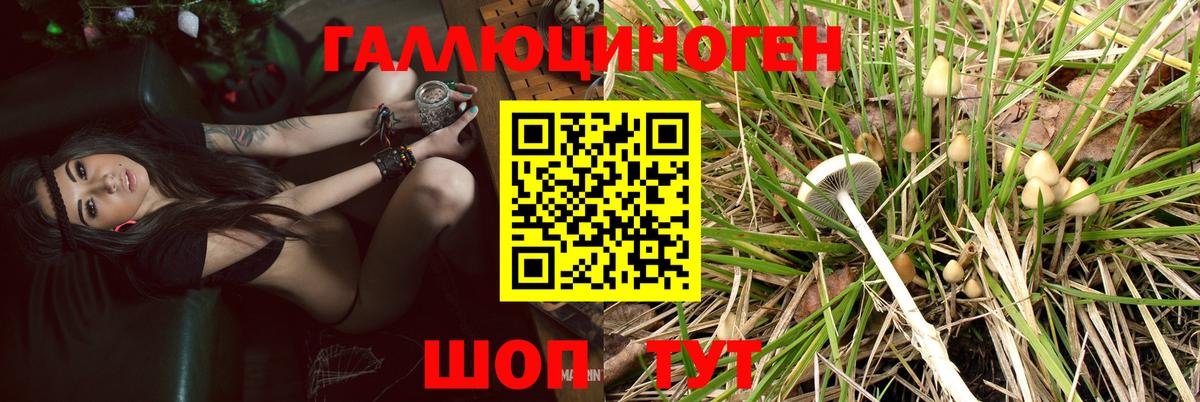 Галлюциногенные грибы GOLDEN TEACHER Краснотурьинск