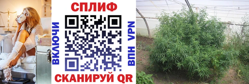 даркнет телеграм  Краснотурьинск  Шишки марихуана White Widow  mega ссылка 